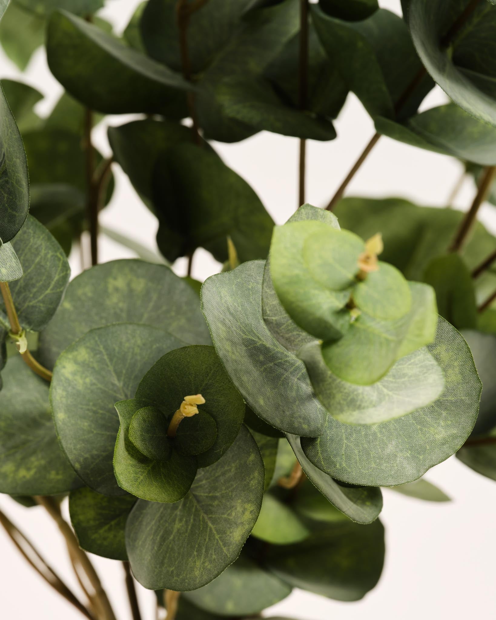 Silk Bouquet | Good MC.09