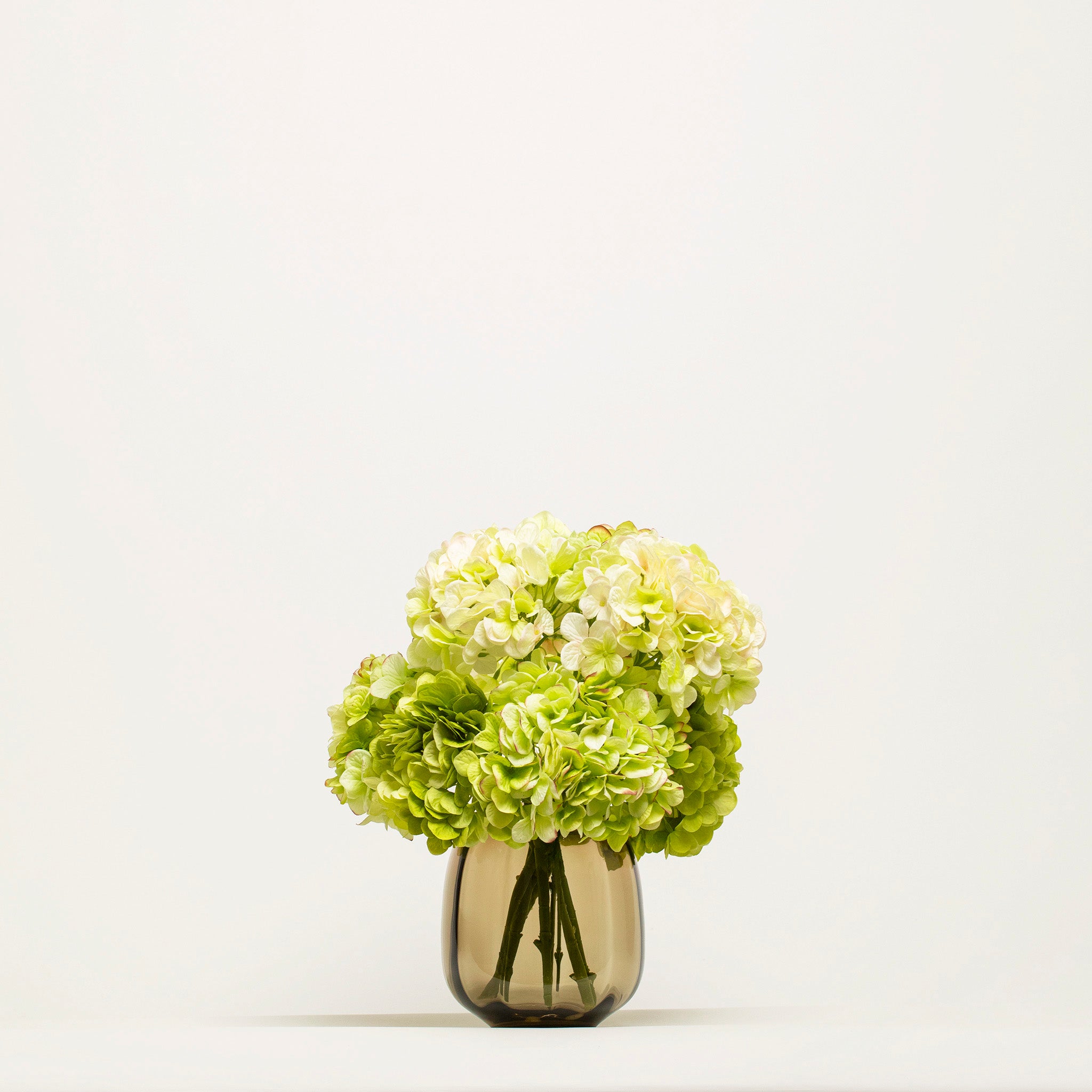 Bouquet En Soie d’Hortensias | Good MC.21