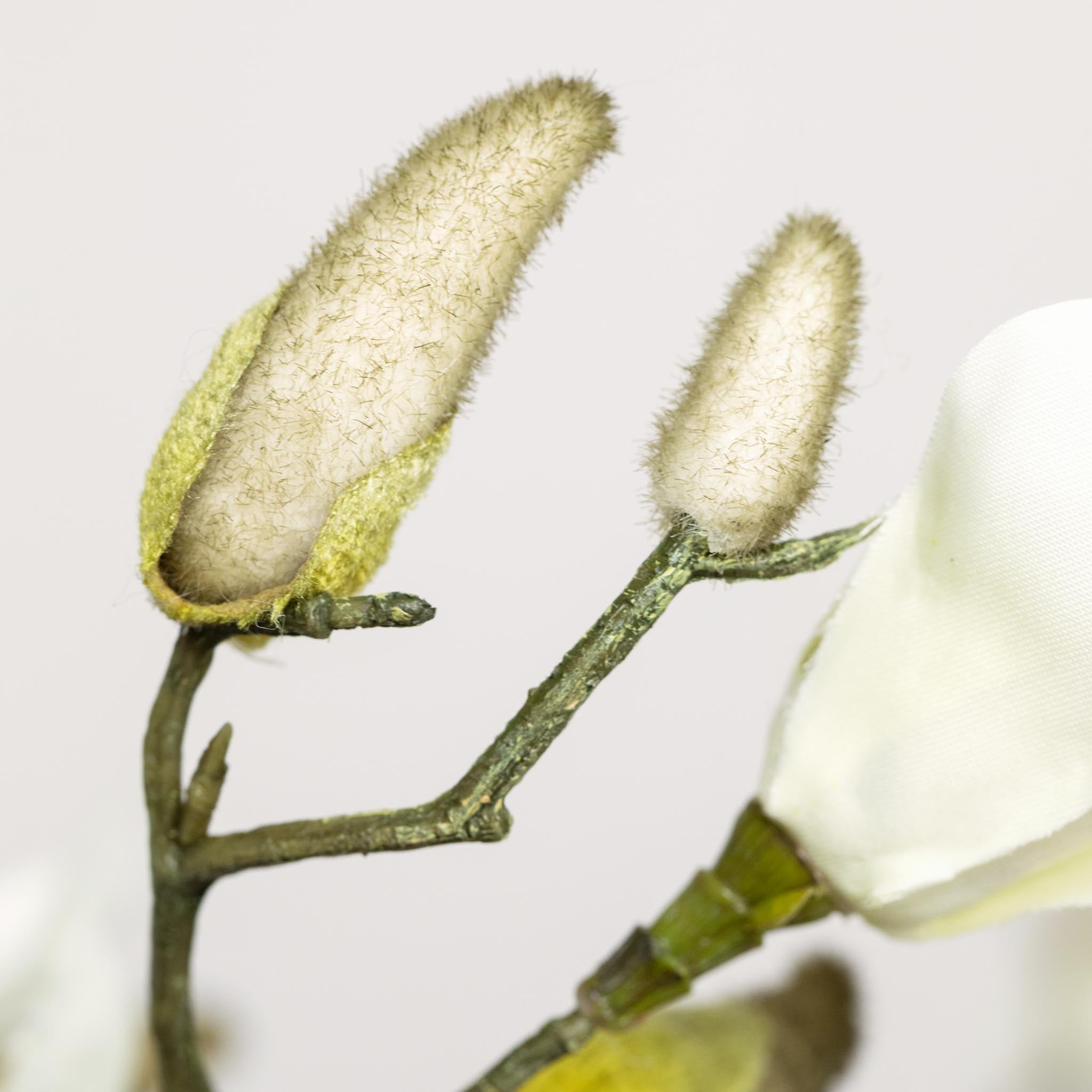 Silk Bouquet | Good MC.03