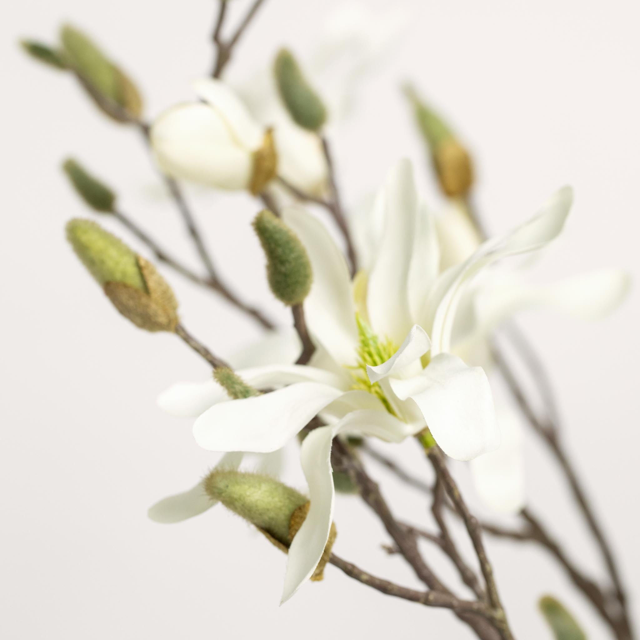 Silk Bouquet | Good MC.03