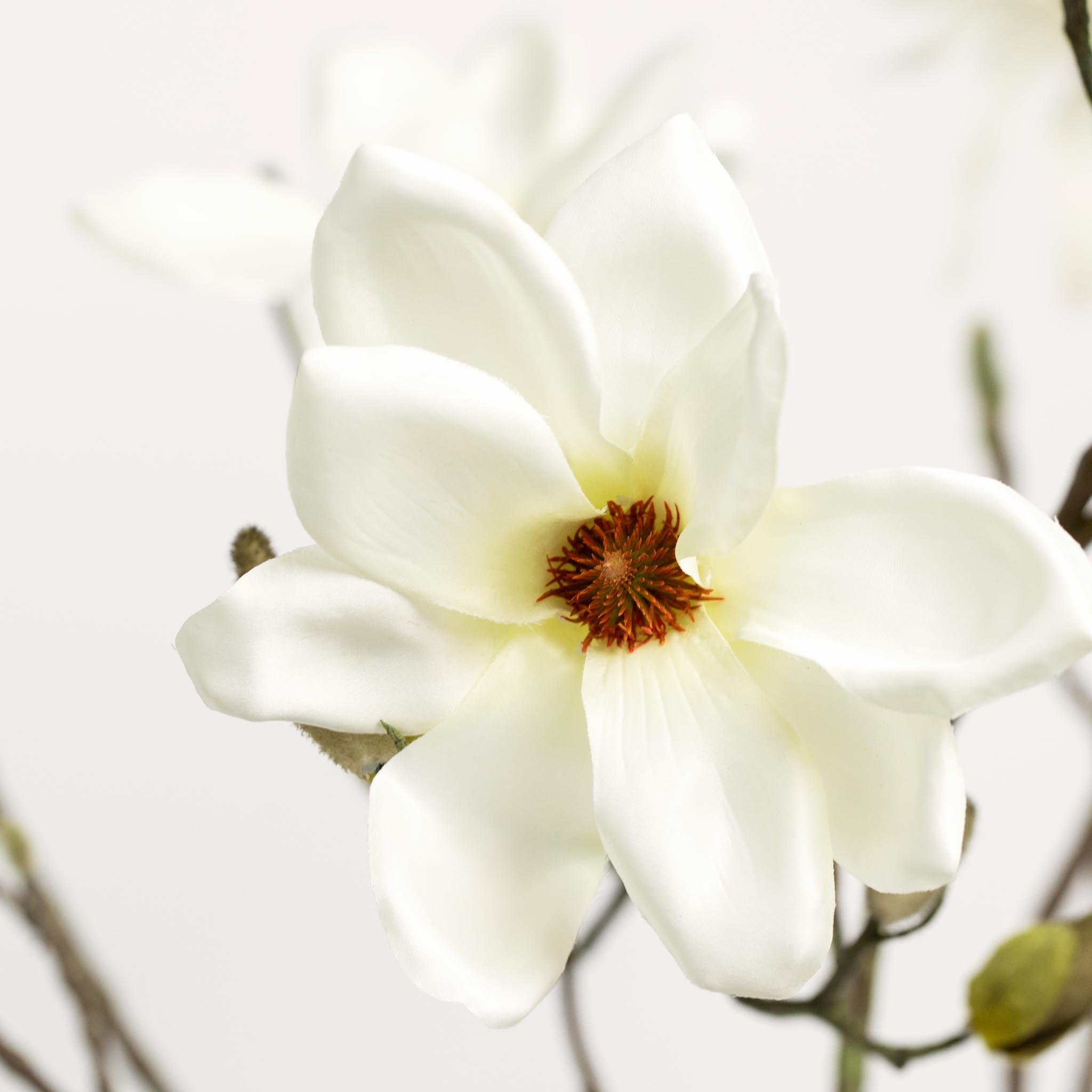 Silk Bouquet | Good MC.03