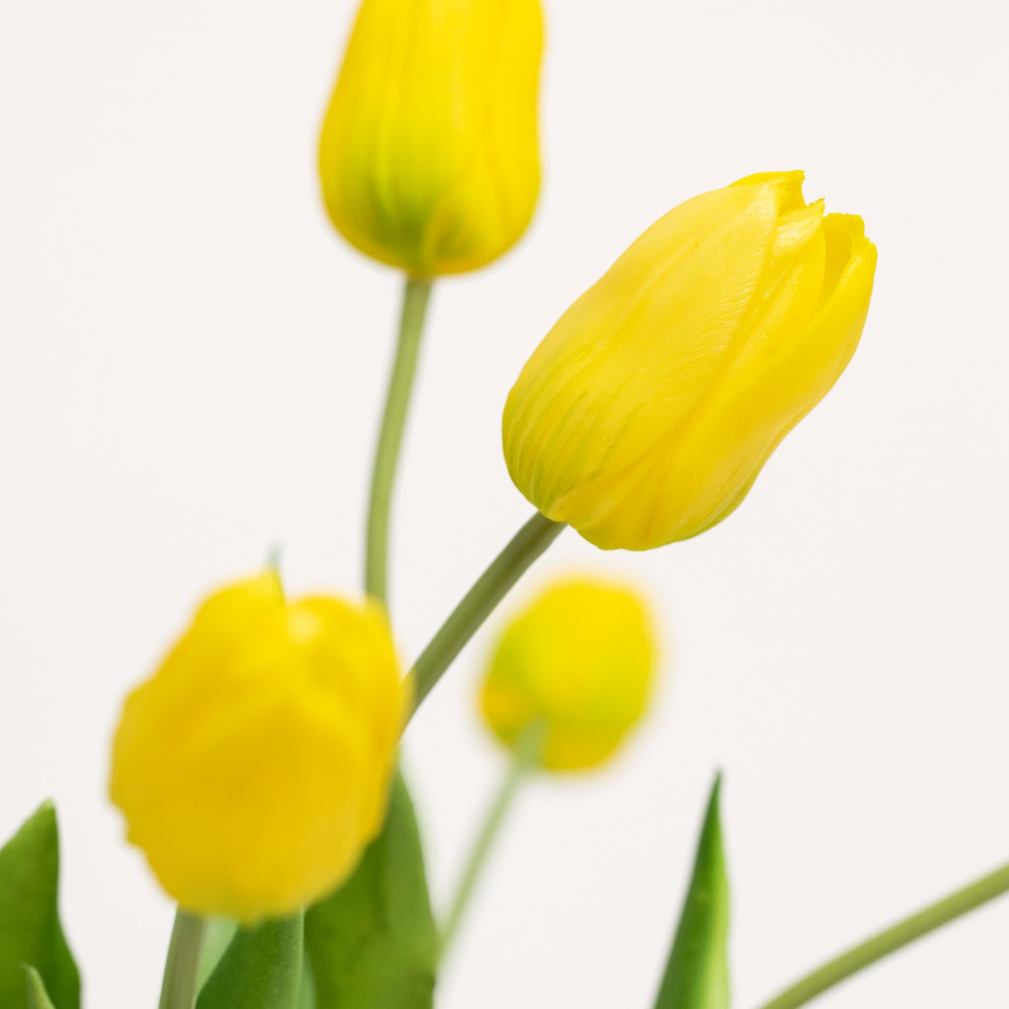 Silk Tulip Bouquet | Good MC.23