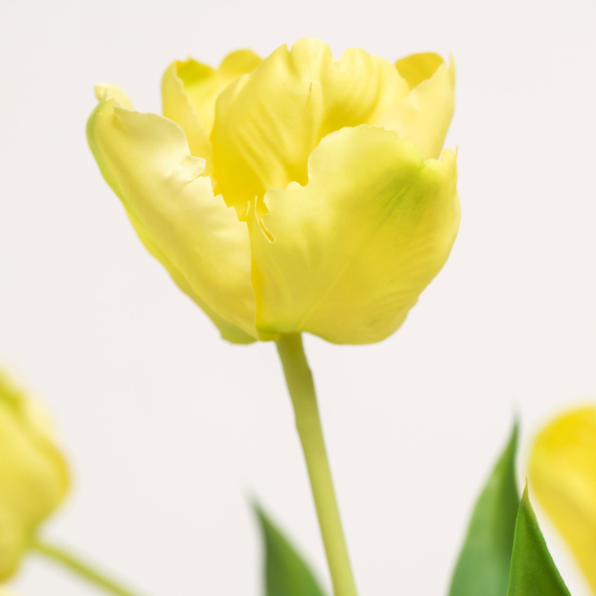 Bouquet de tulipes en soie | Bon MC.26