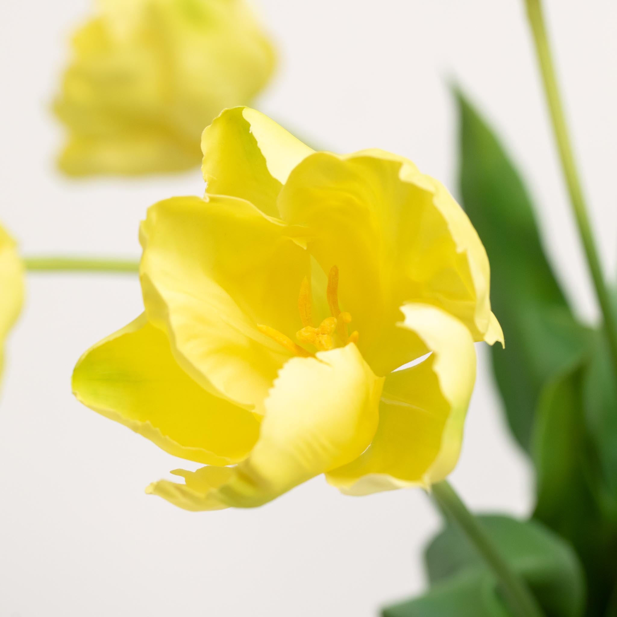 Bouquet de tulipes en soie | Bon MC.26