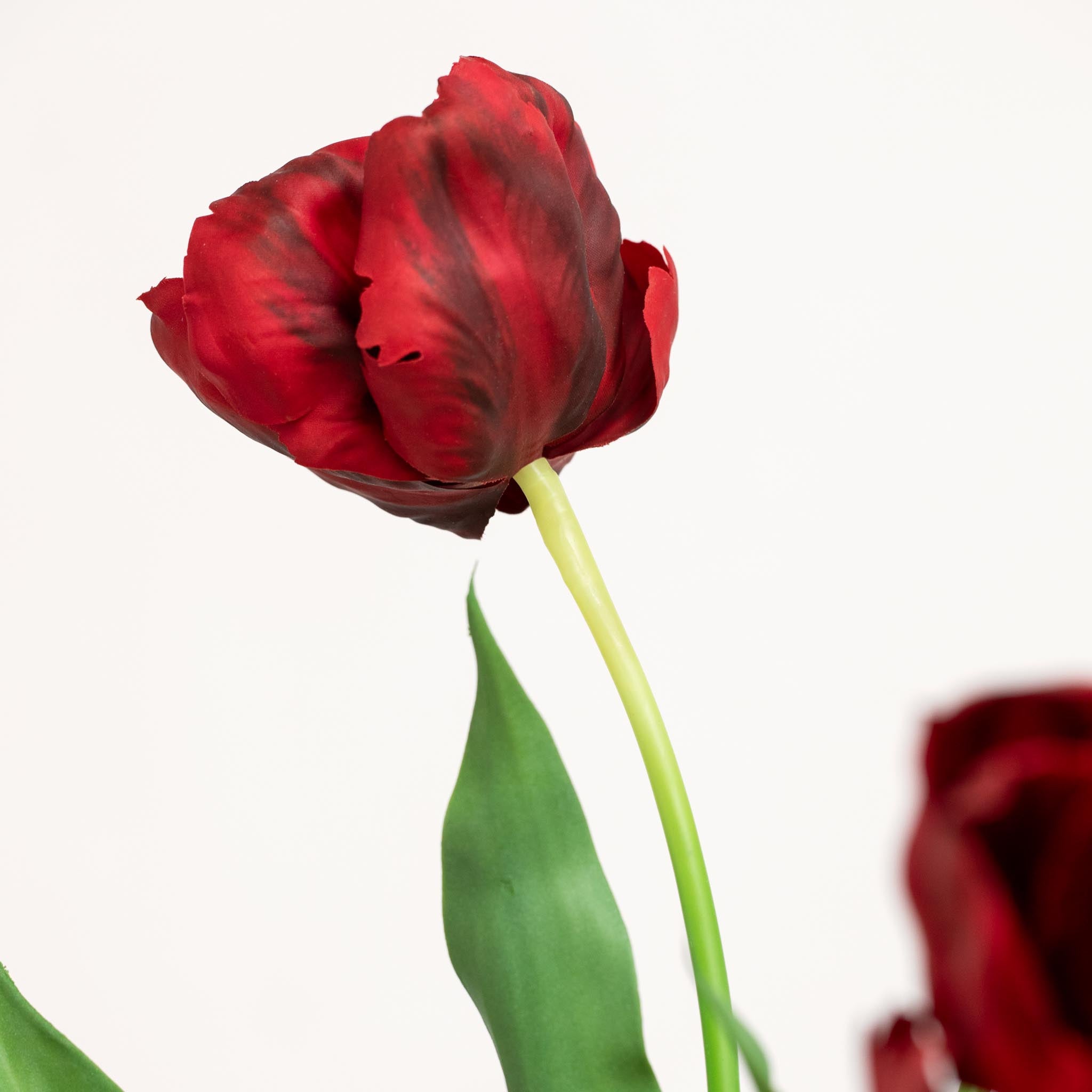 Bouquet De Tulipes En Soie | Good MC.27