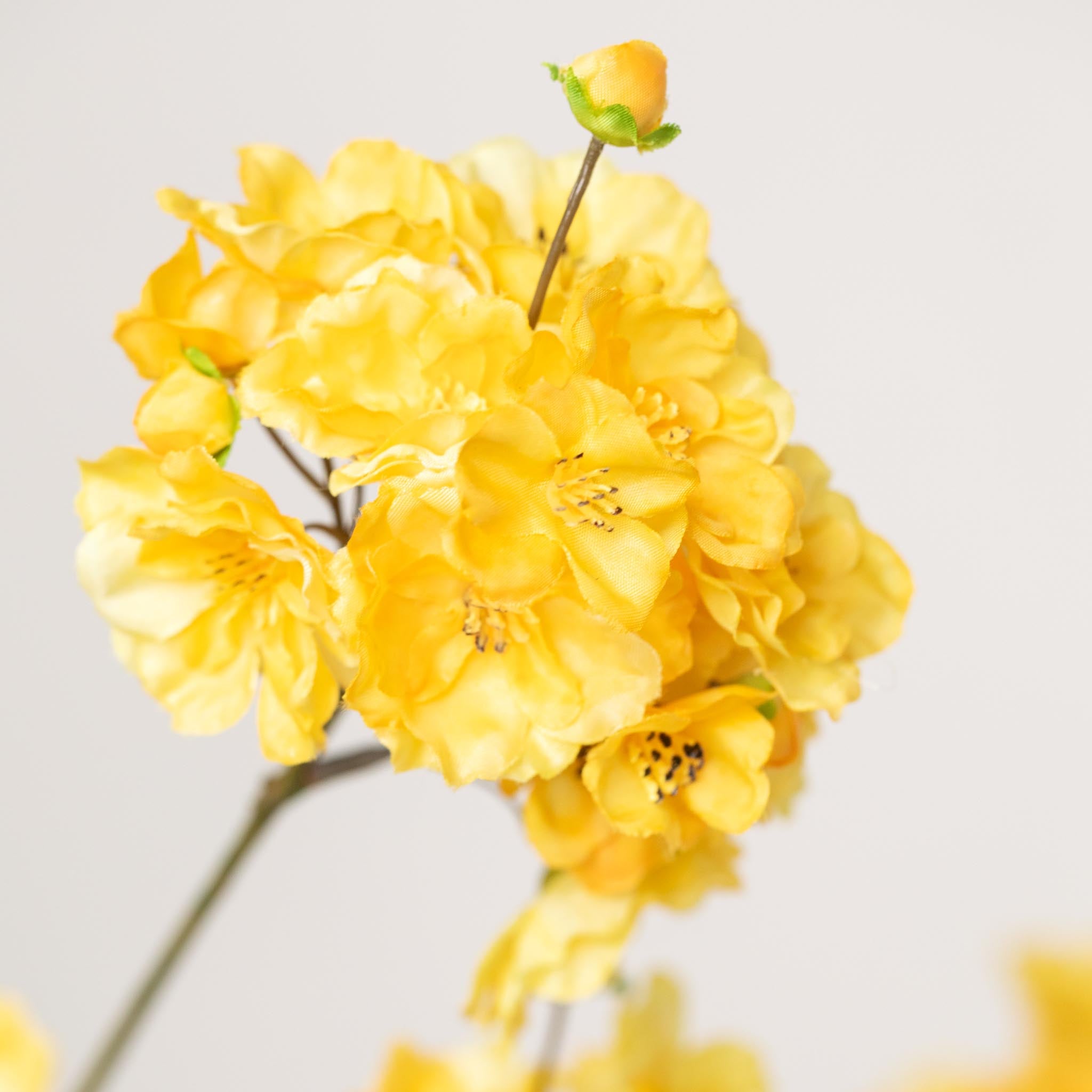 Silk Bouquet | Good MC.29