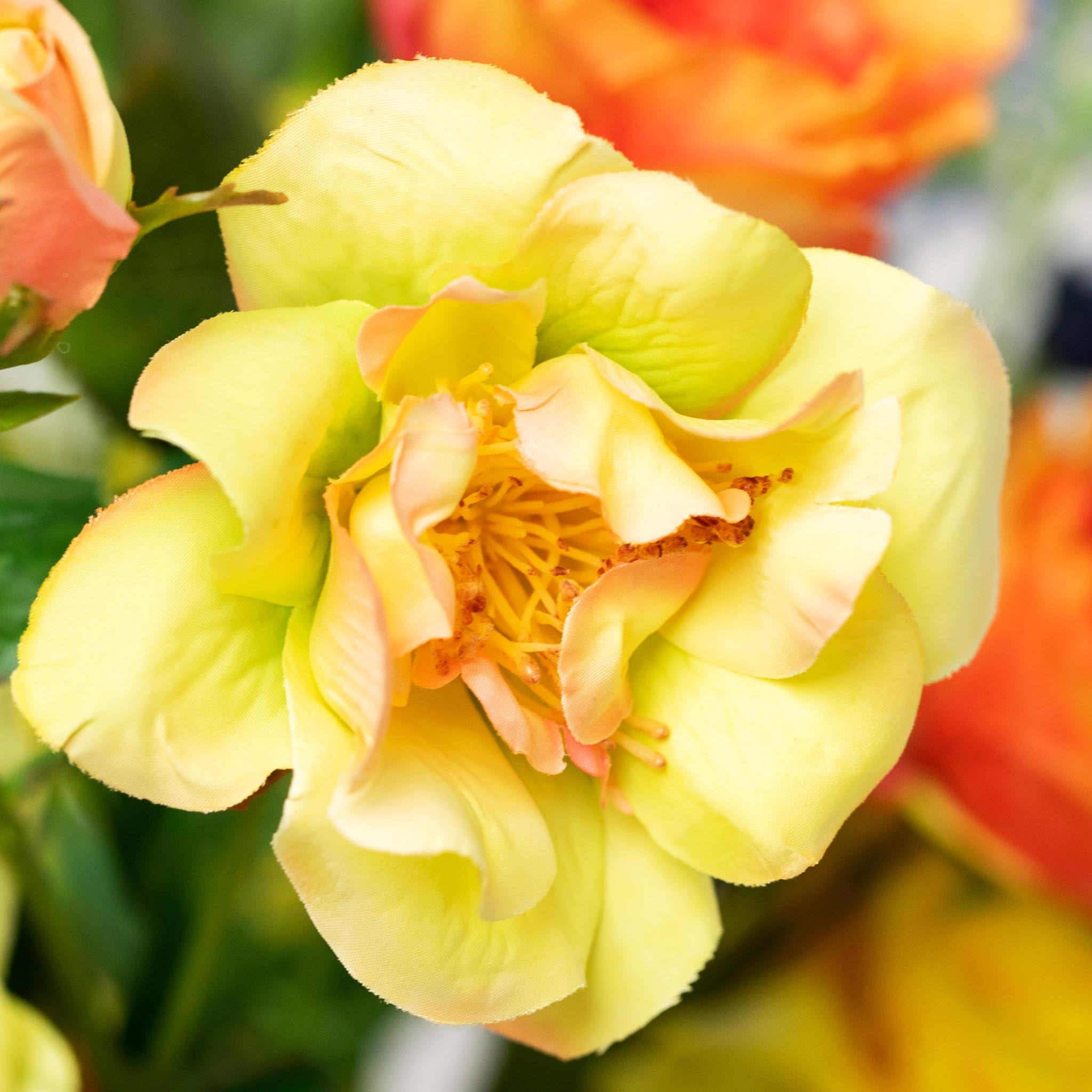 Silk Bouquet XL | Good SS.36