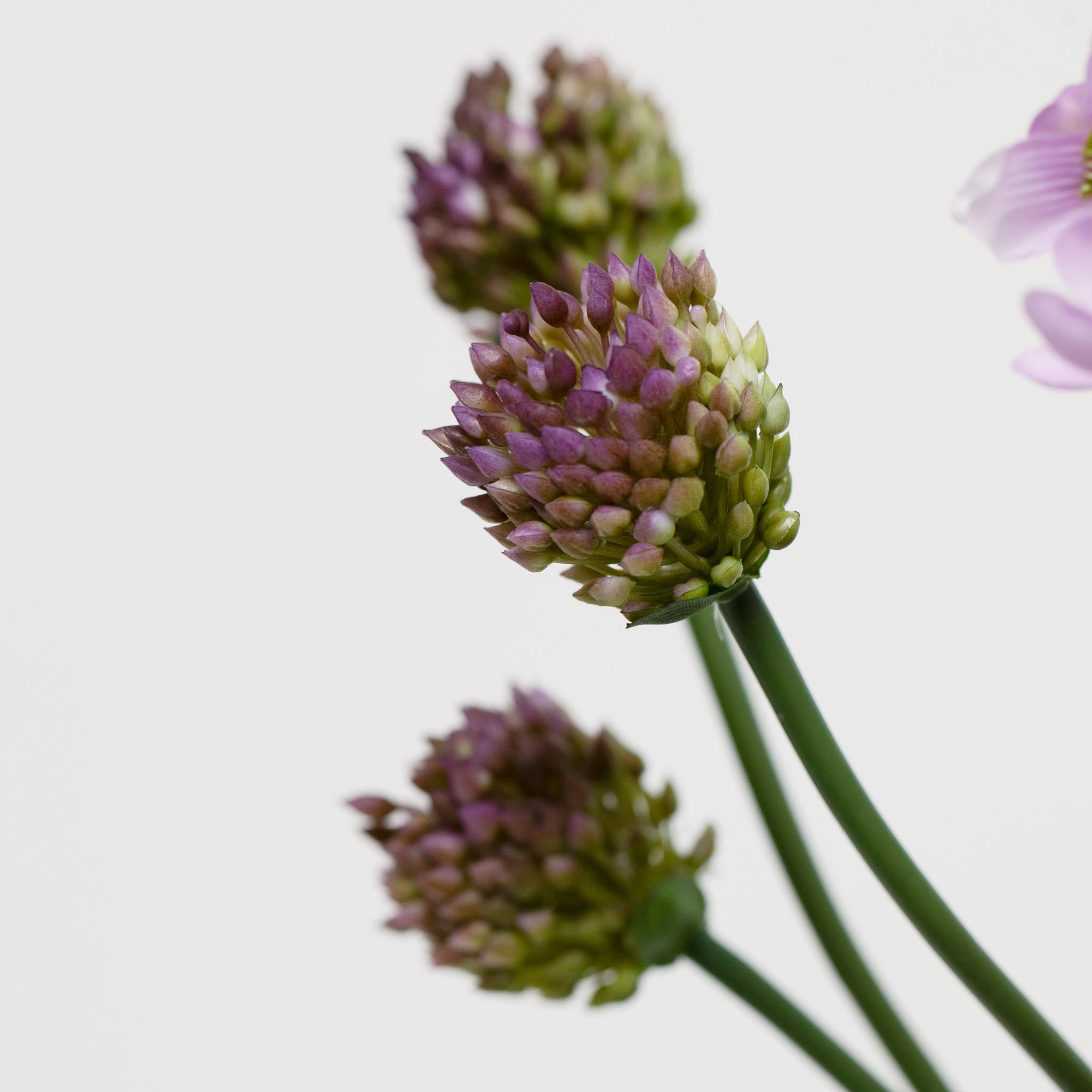 Zijden Boeket | Good SS.42