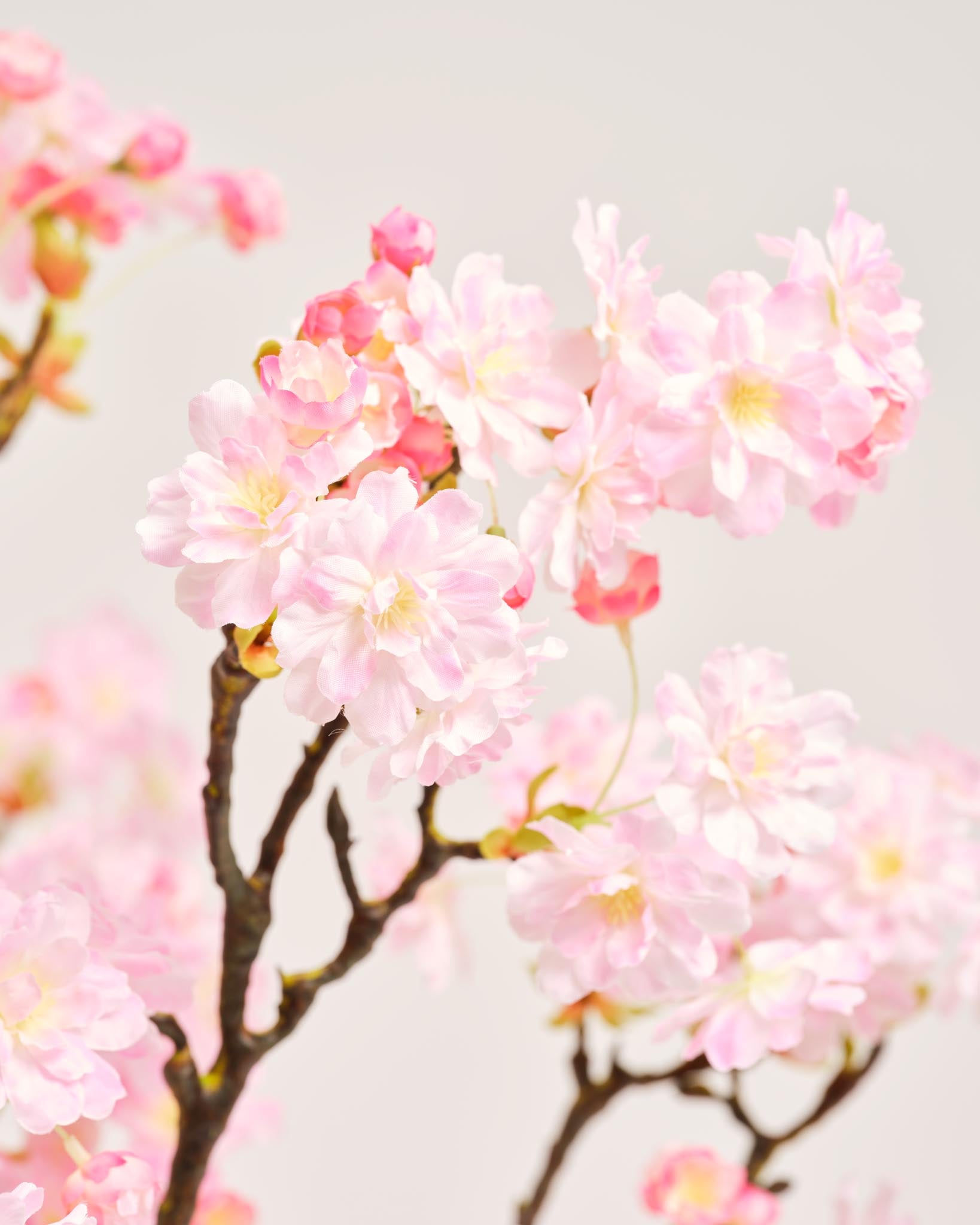 Silk Bouquet | Good MC.01