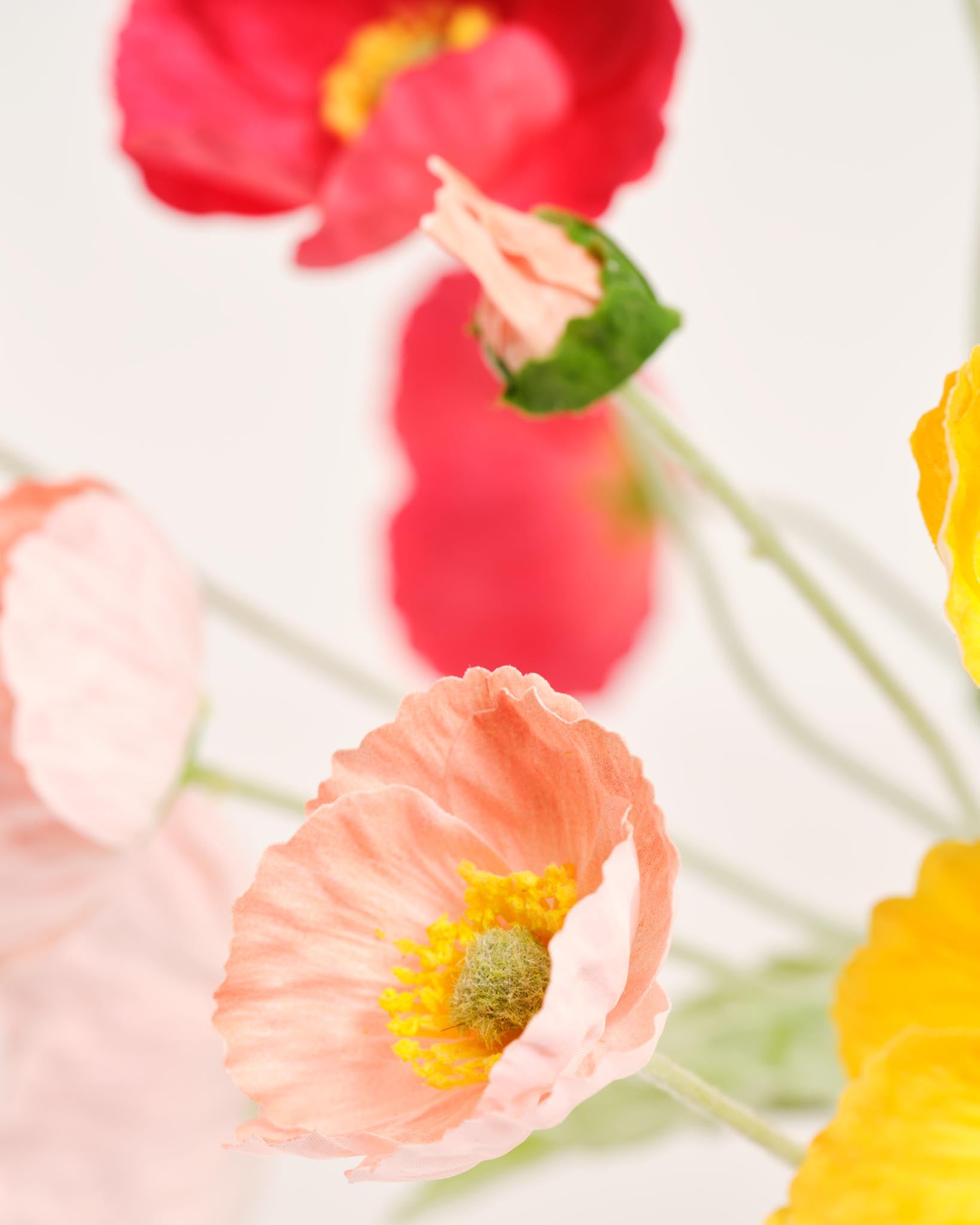 Silk Bouquet | Good MC.07