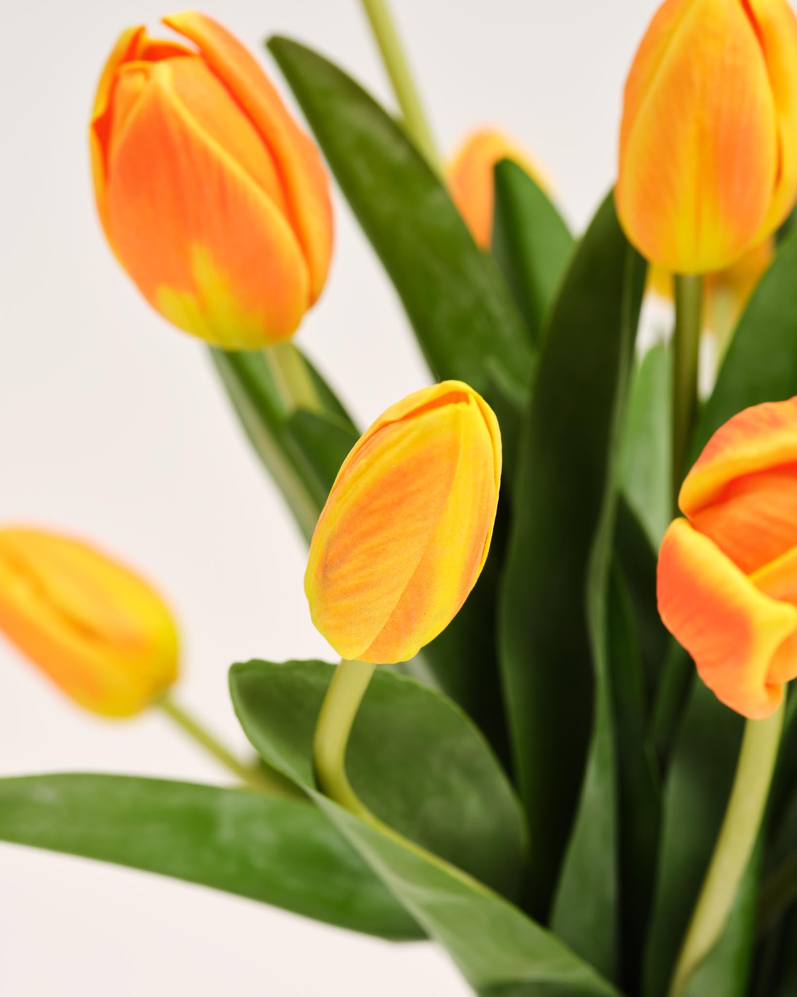 Silk Tulip Bouquet | Good MC.24