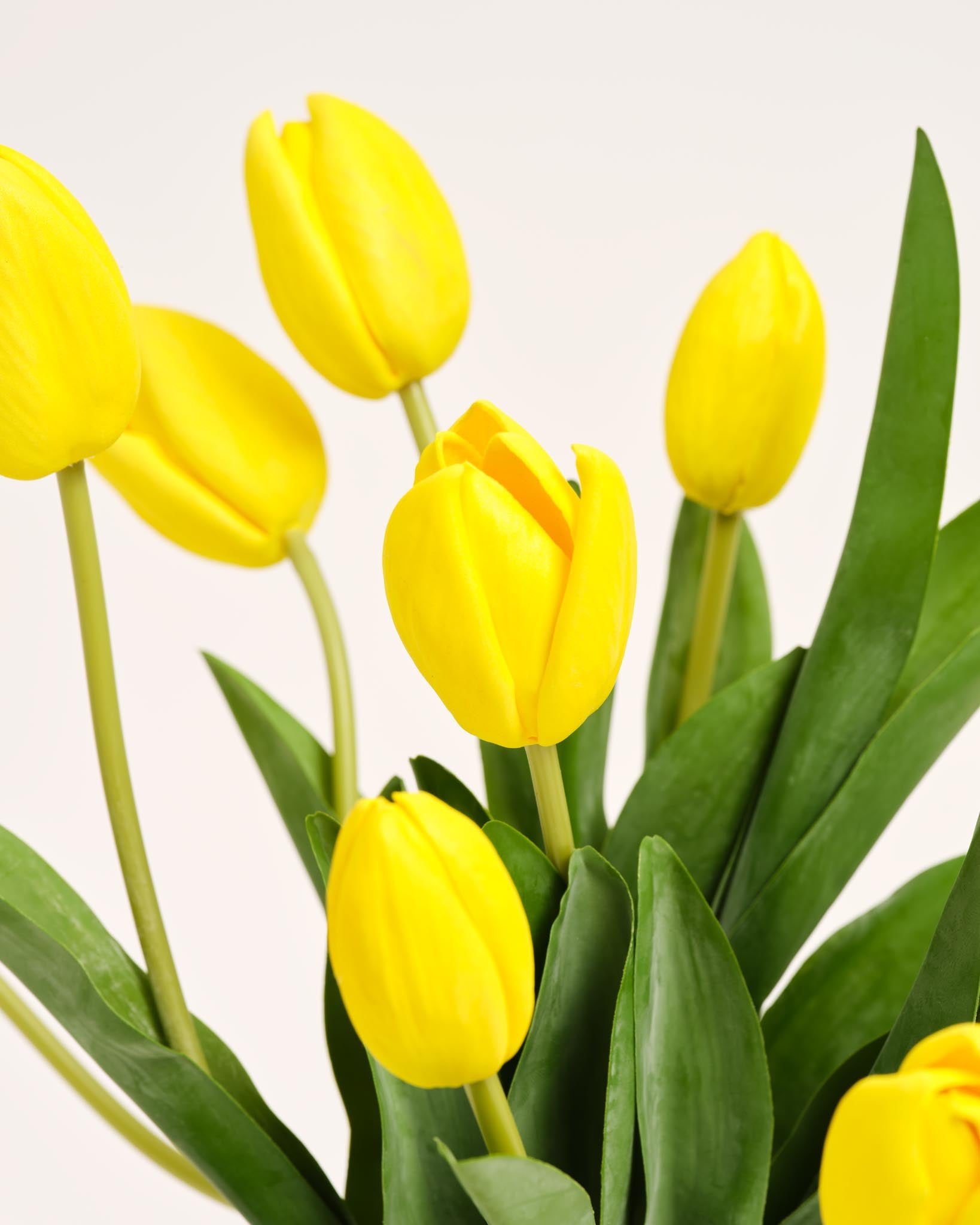Silk Tulip Bouquet | Good MC.23