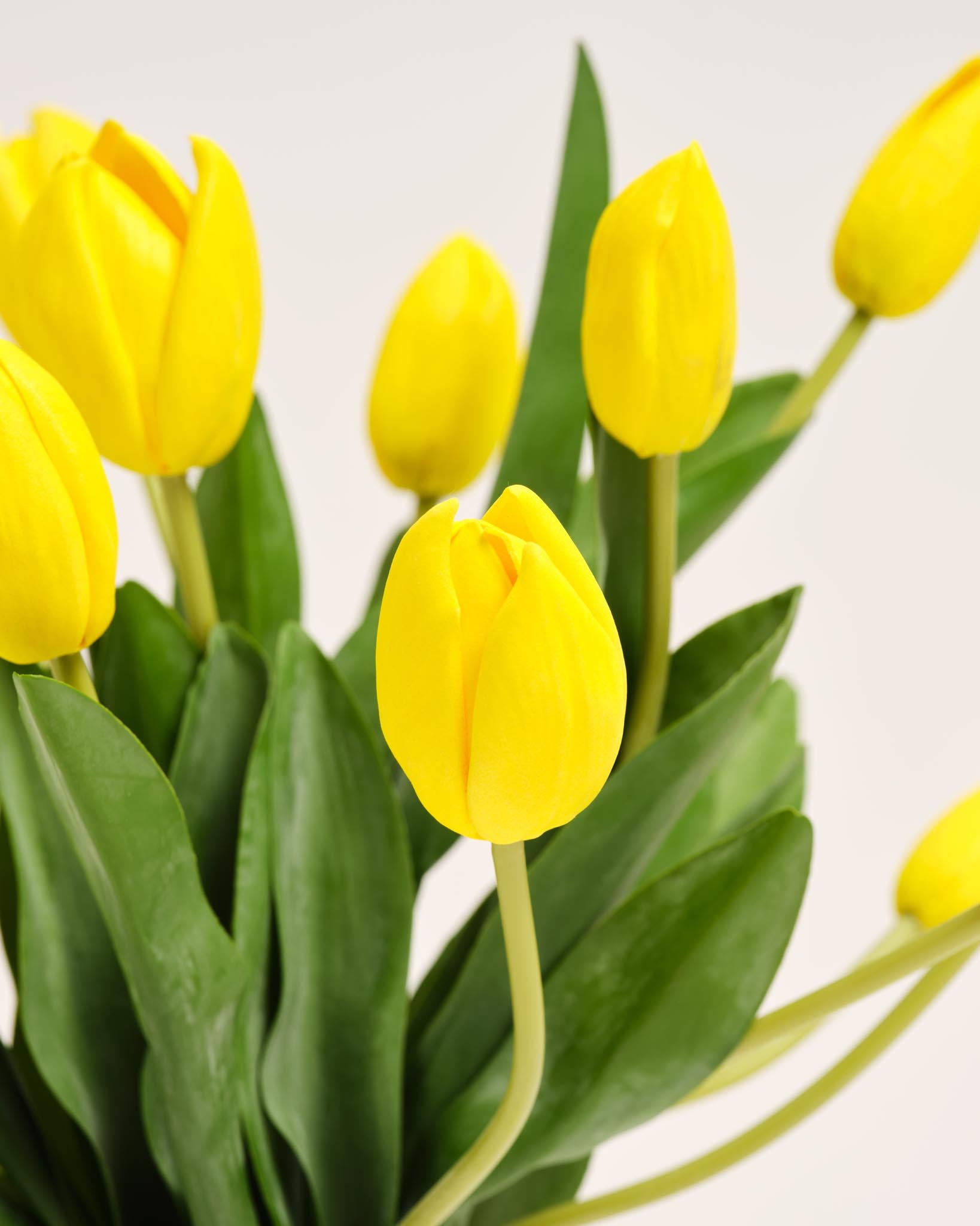 Silk Tulip Bouquet | Good MC.23