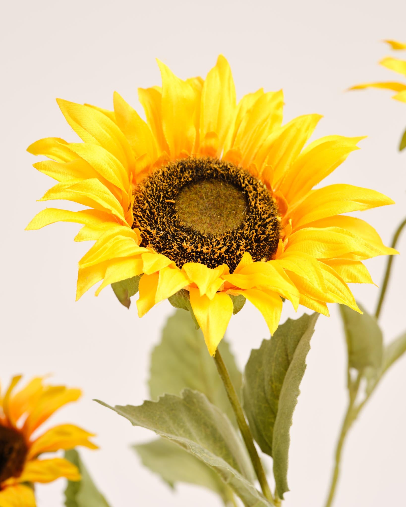 Silk Bouquet | Good VG.01