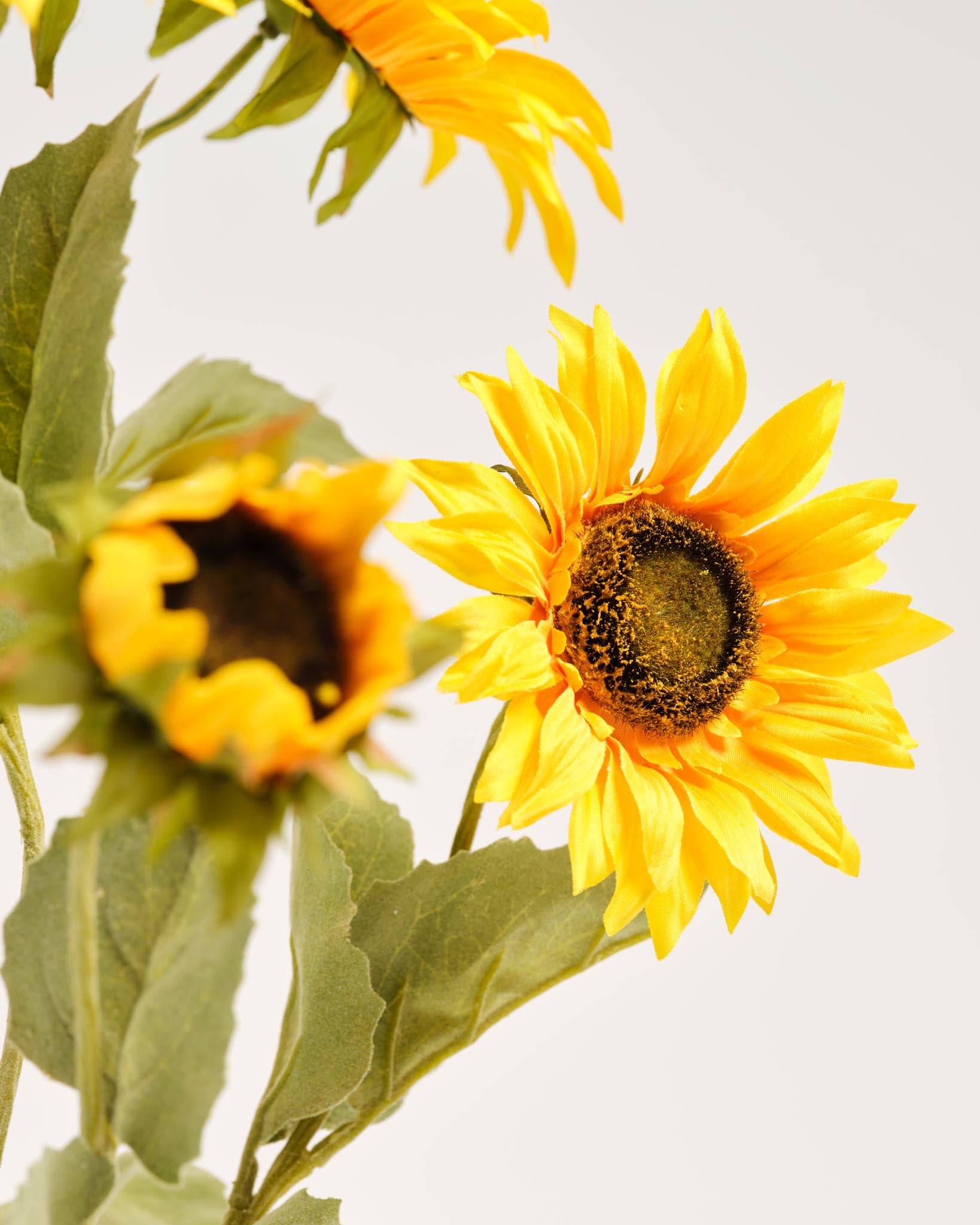 Silk Bouquet | Good VG.01