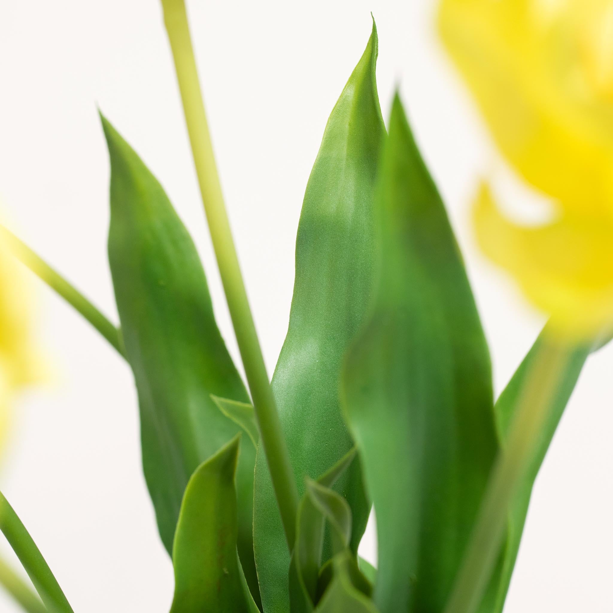 Bouquet de tulipes en soie | Bon MC.26