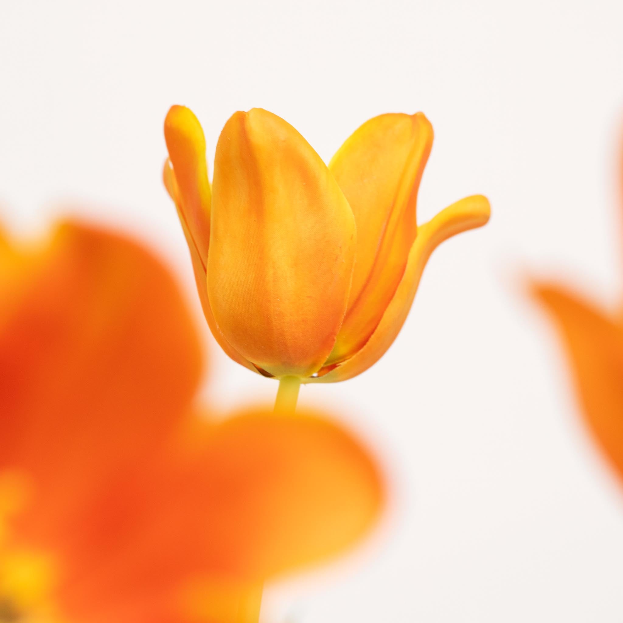 Bouquet de tulipes en soie | Bon MC.28